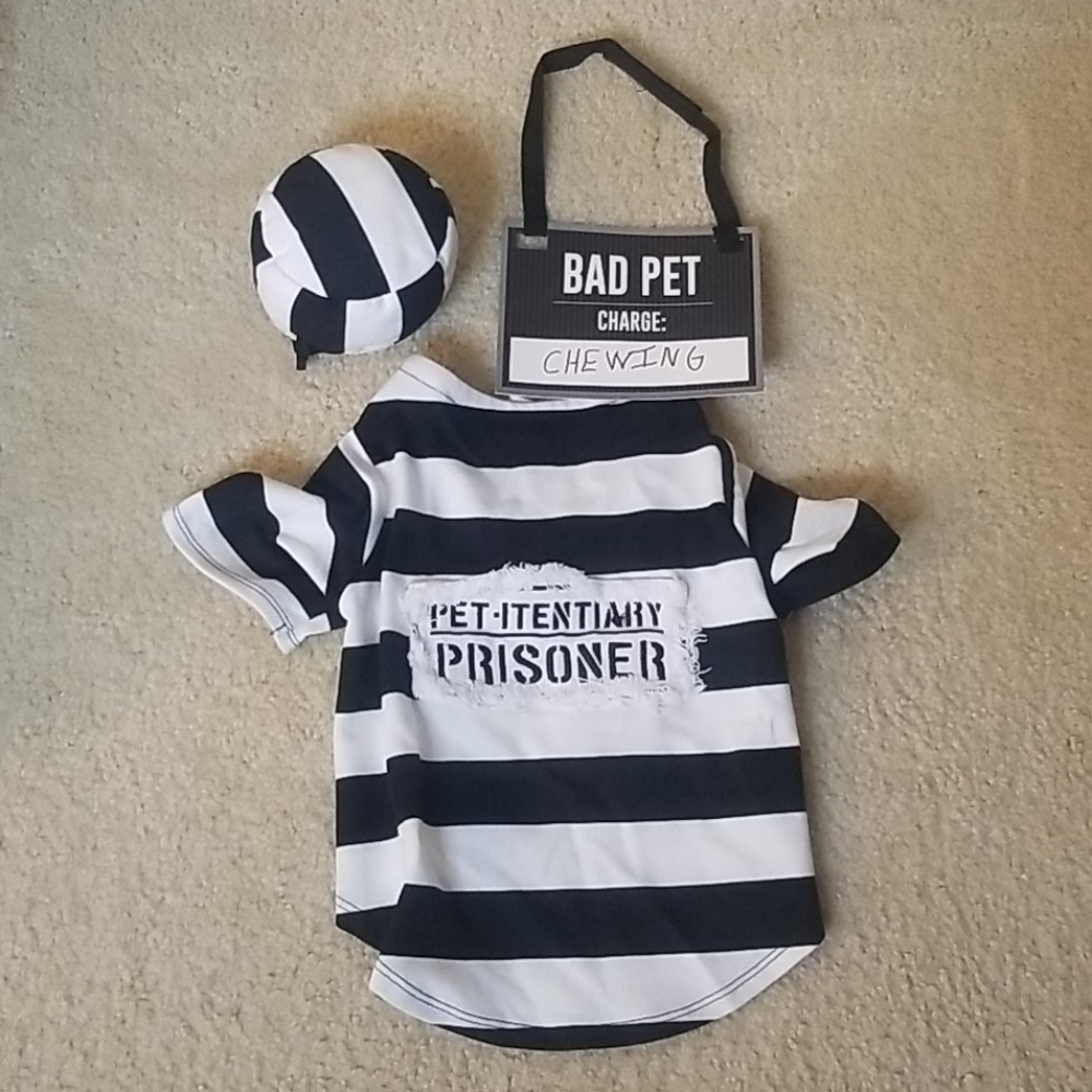 Dog costume